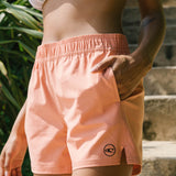 Jetties Stretch 4" Boardshorts